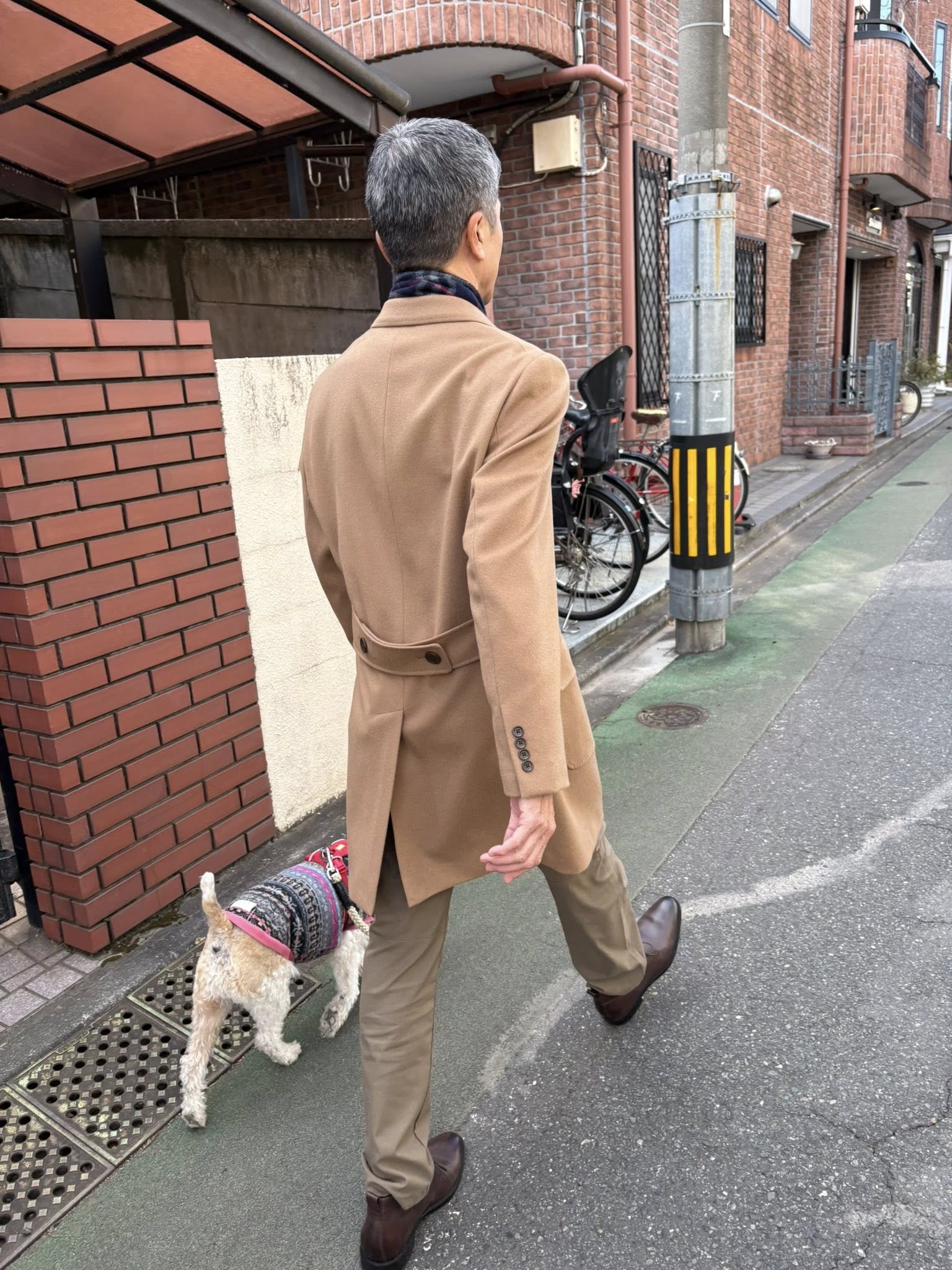 樋口陽子 樋口陽子