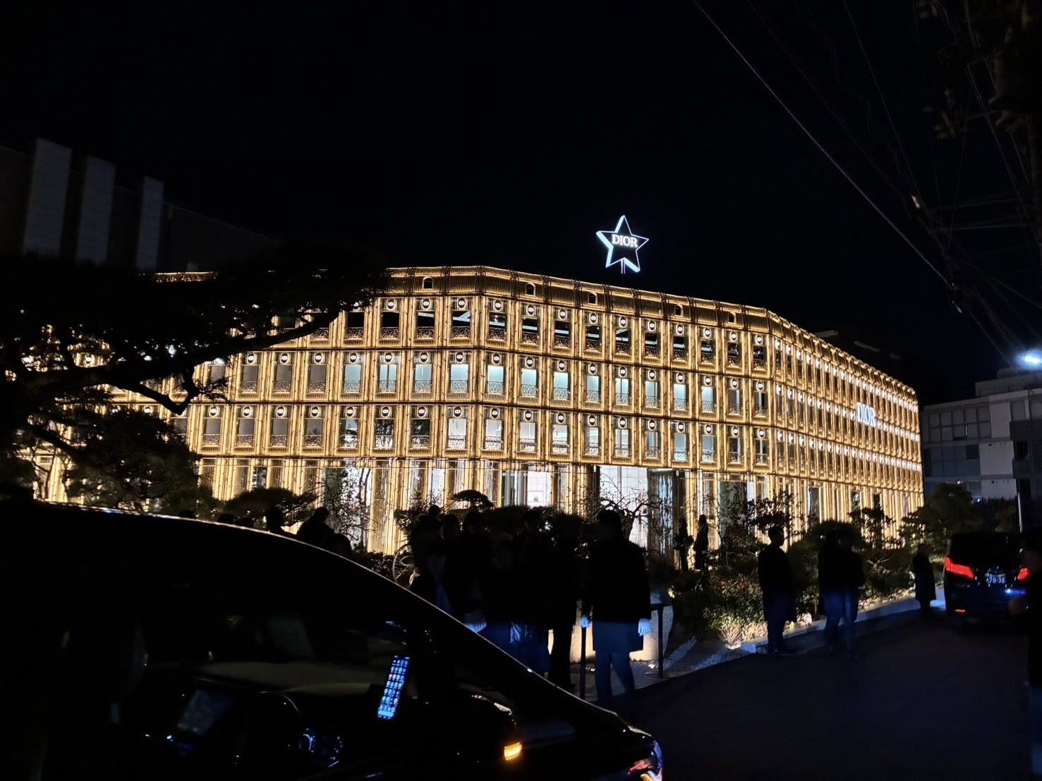 樋口陽子 樋口陽子