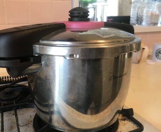 樋口陽子 樋口陽子