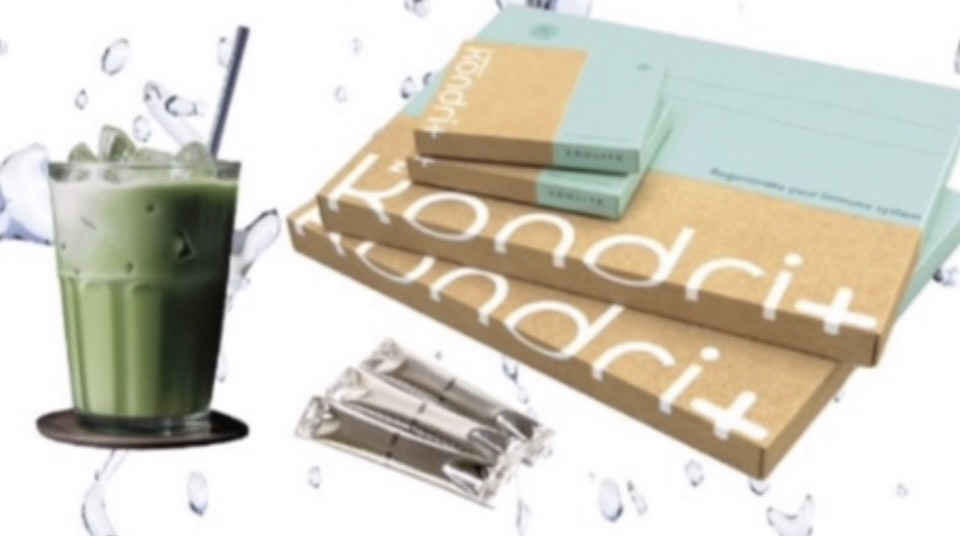 樋口陽子 樋口陽子