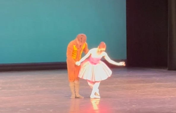 樋口陽子 樋口陽子