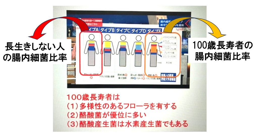 新製品「コンドリバイオフローラ」発売スタート❗ | コンドリ